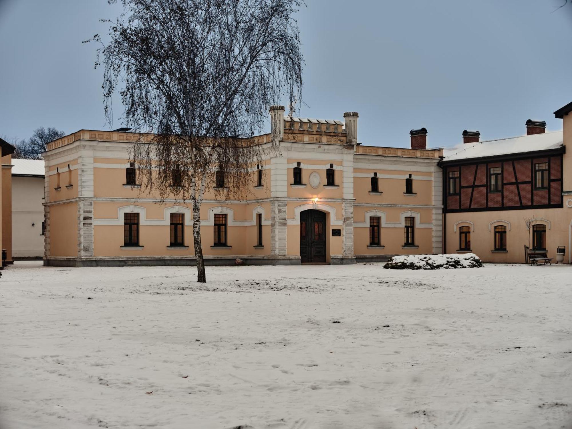 Palac Potockich W Bedlewie Bedlewo Kültér fotó