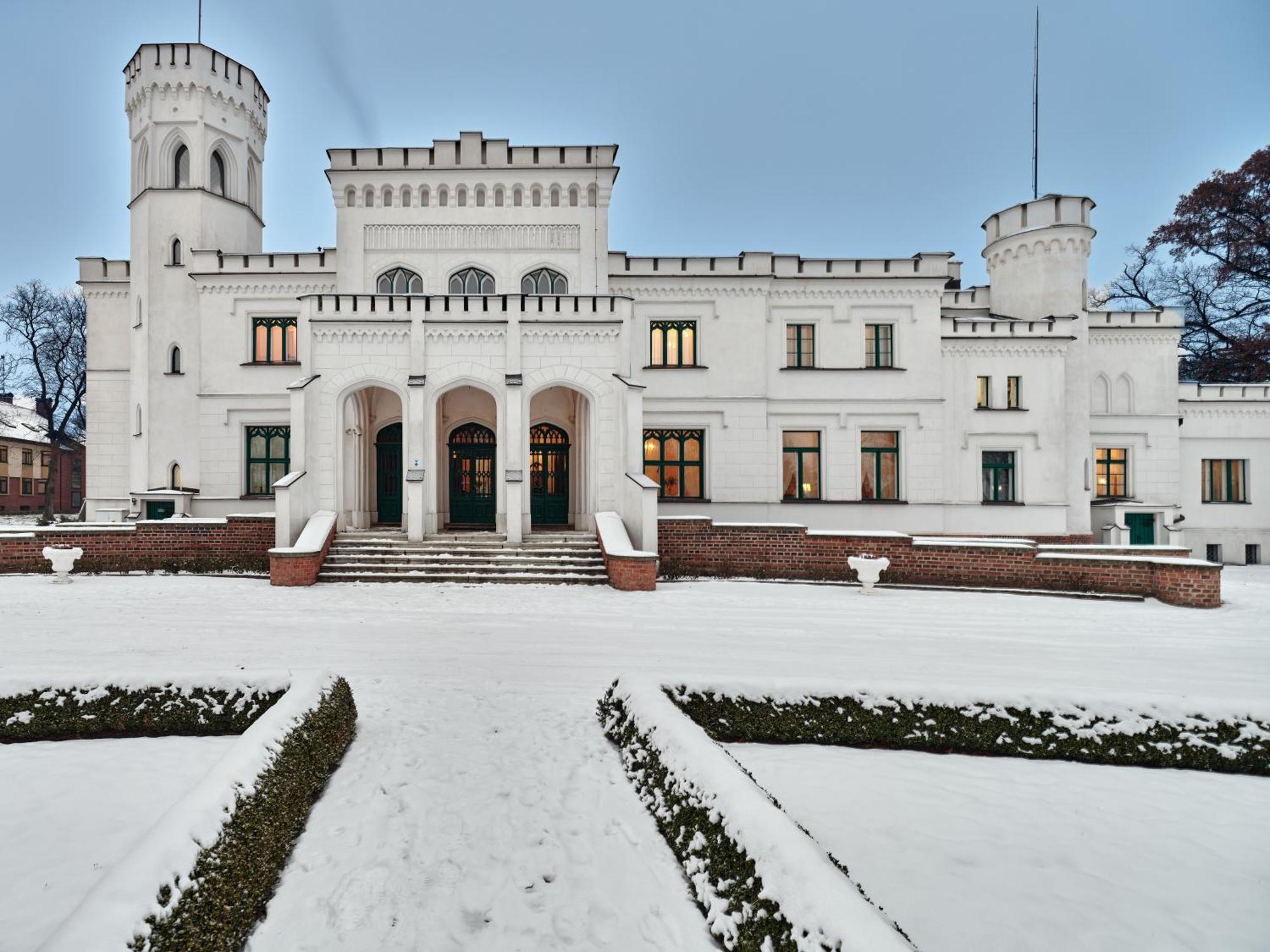 Palac Potockich W Bedlewie Bedlewo Kültér fotó