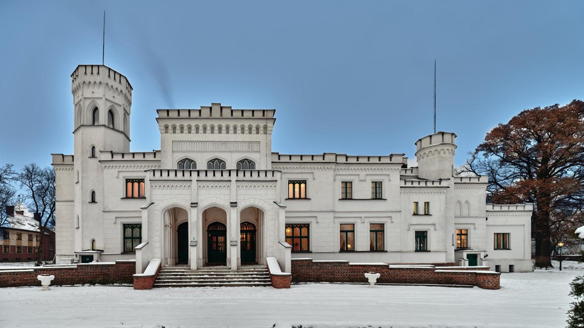 Palac Potockich W Bedlewie Bedlewo Kültér fotó