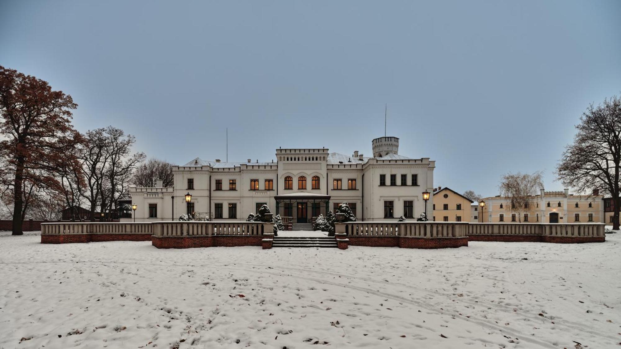 Palac Potockich W Bedlewie Bedlewo Kültér fotó